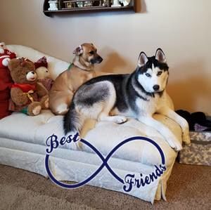 Meet your Posher, Debi